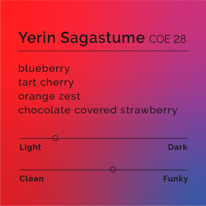Yerin Sagastume - COE 28