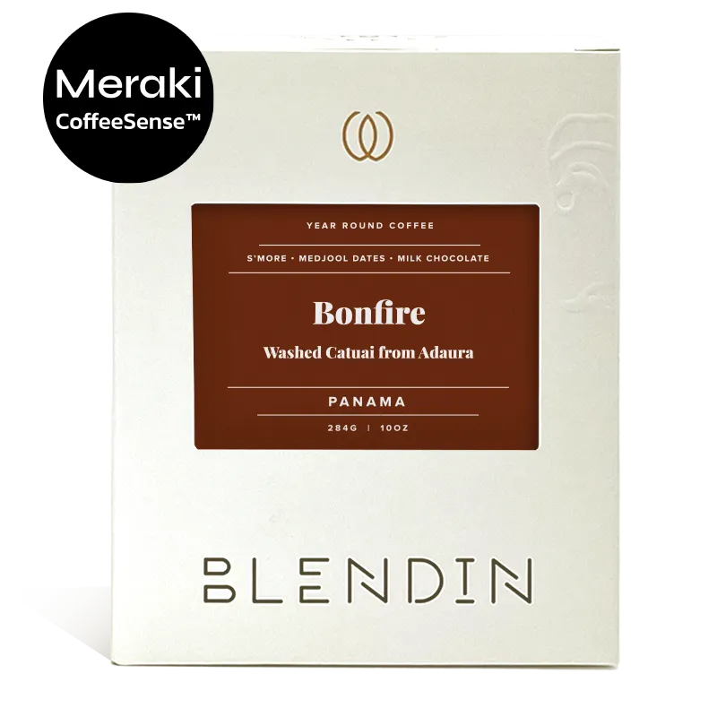 BlendIn x Meraki - Bonfire