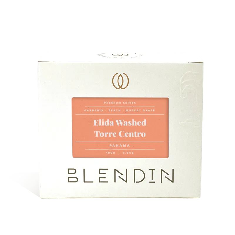 Elida Washed Torre Centro