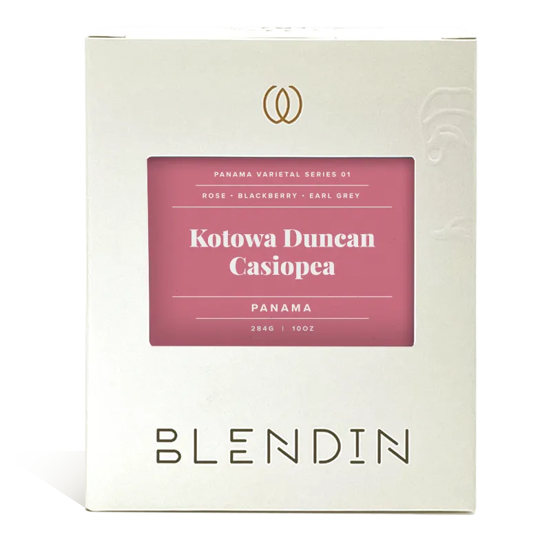 Kotowa Duncan Casiopea
