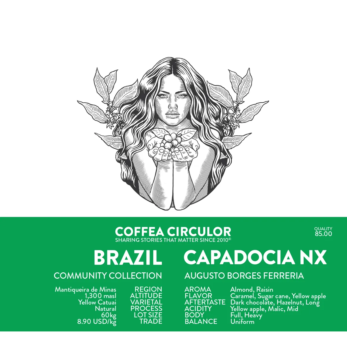 BRAZIL Capadocia Yellow Catuai Natural NX (Espresso)