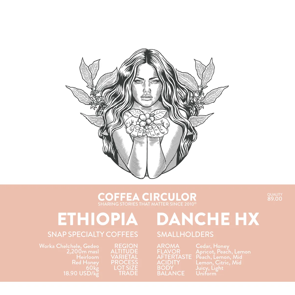 ETHIOPIA Danche Honey HX