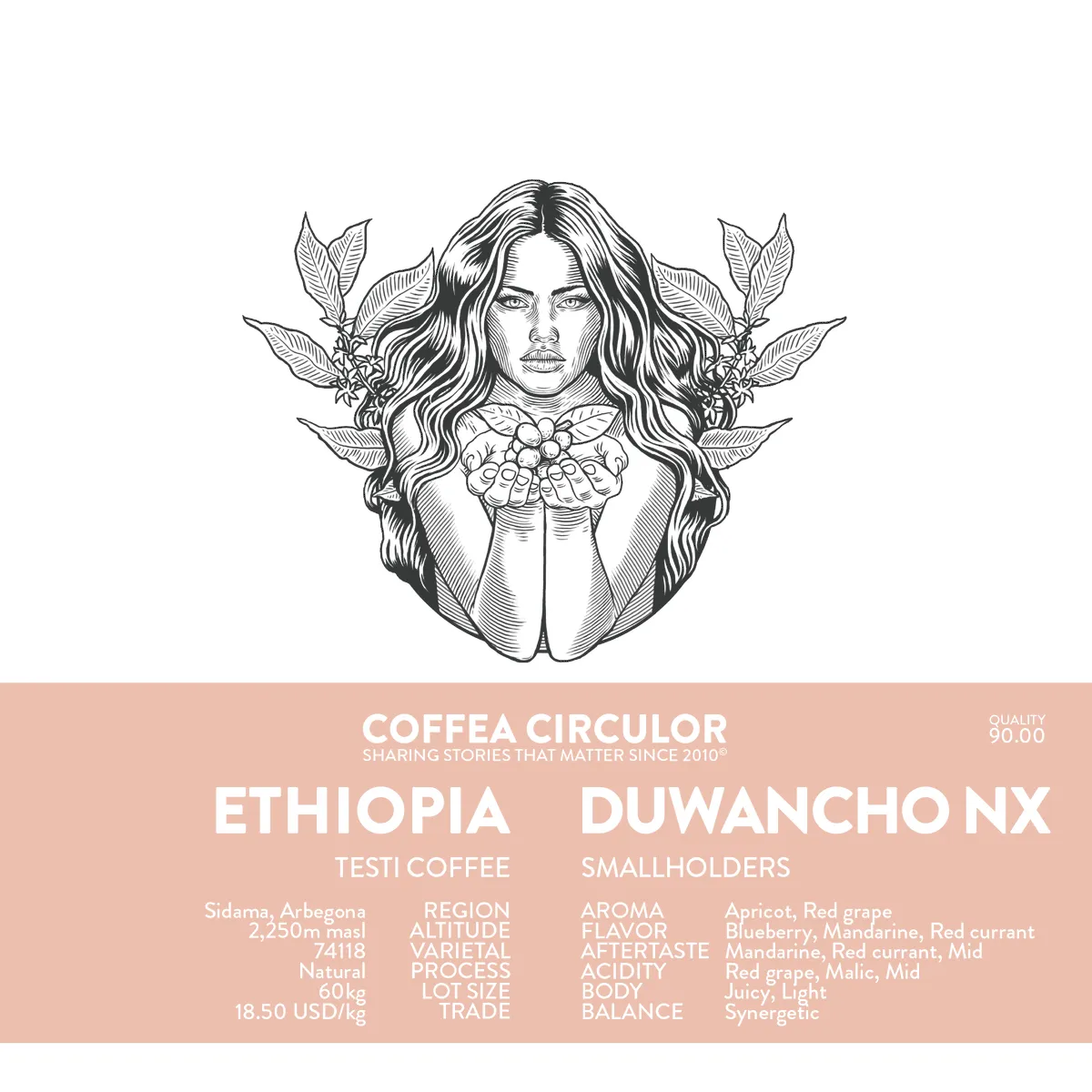ETHIOPIA Duwancho Natural NX