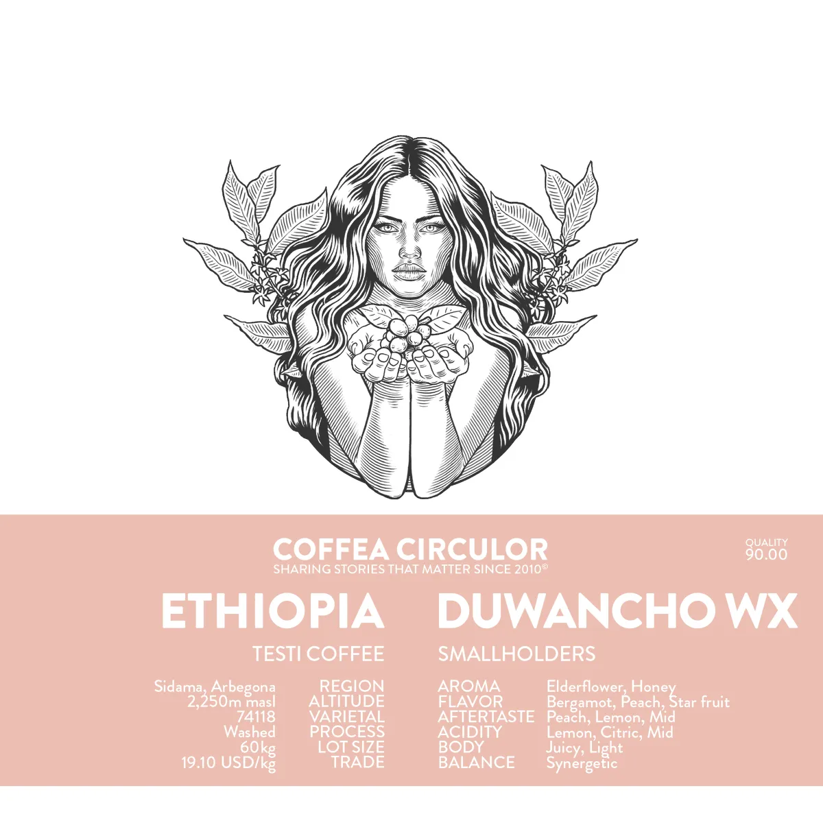 ETHIOPIA Duwancho Washed WX
