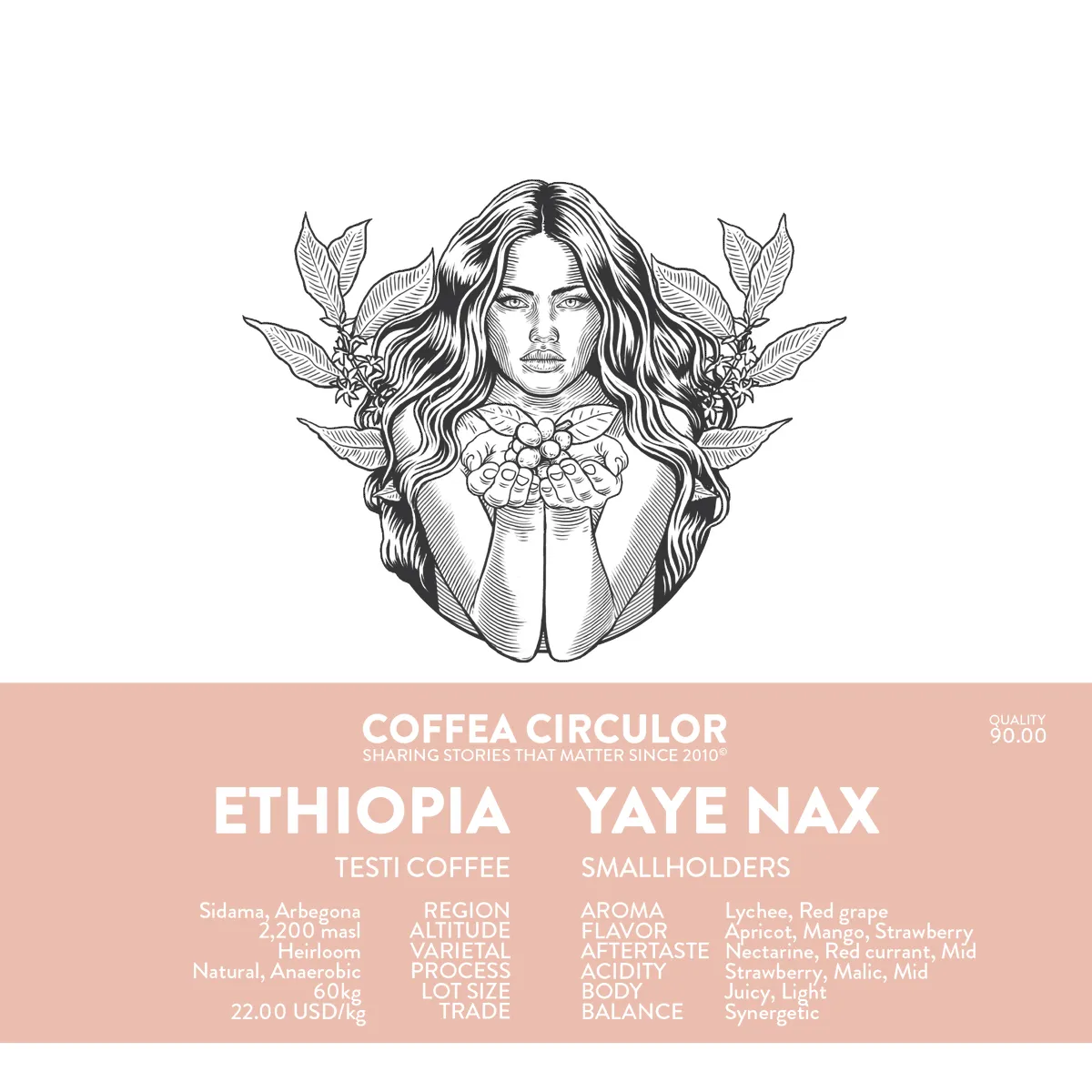 ETHIOPIA Yaye Natural Anaerobic NAX