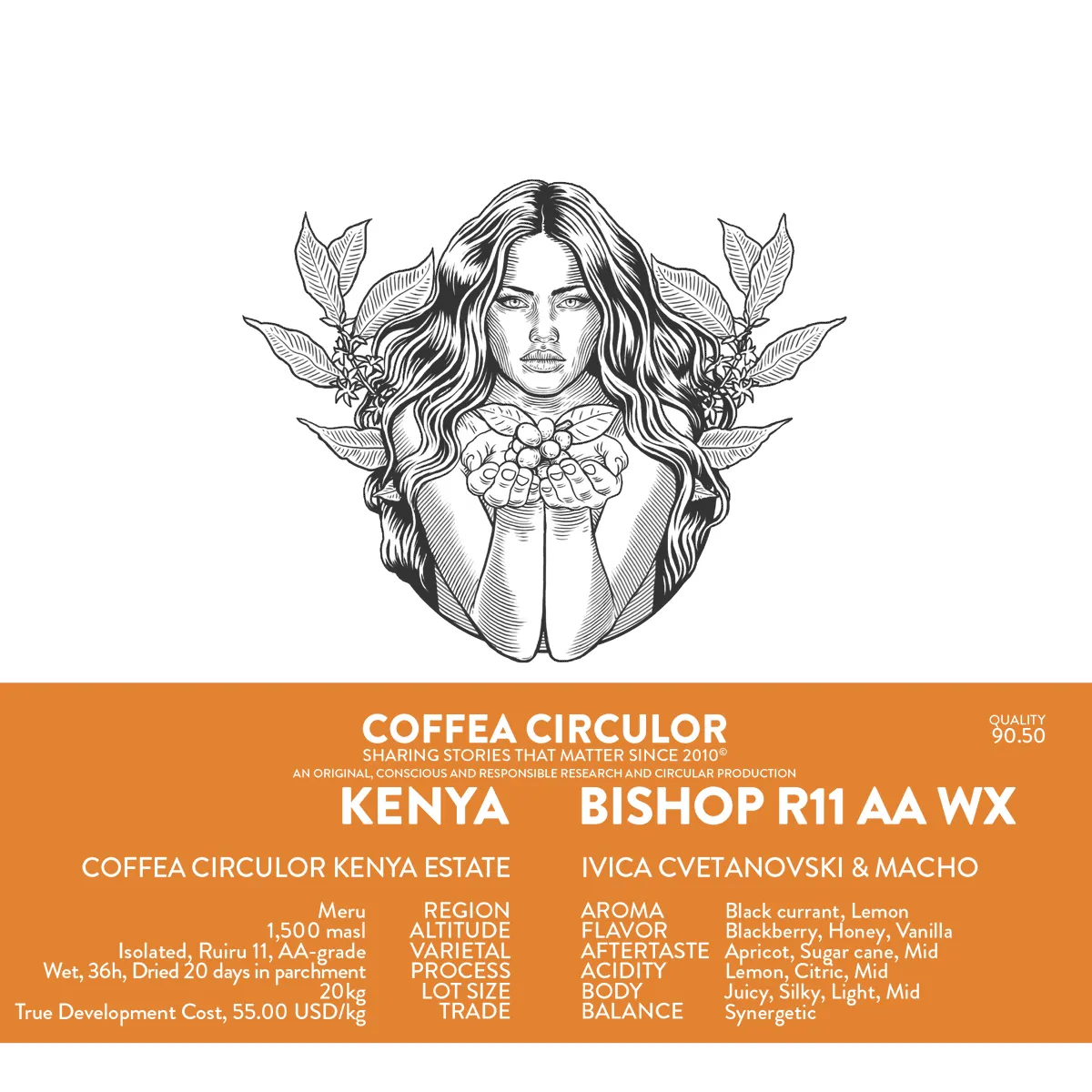 KENYA Coffea Circulor Bishop Isolated Ruiru 11 AA Washed WX