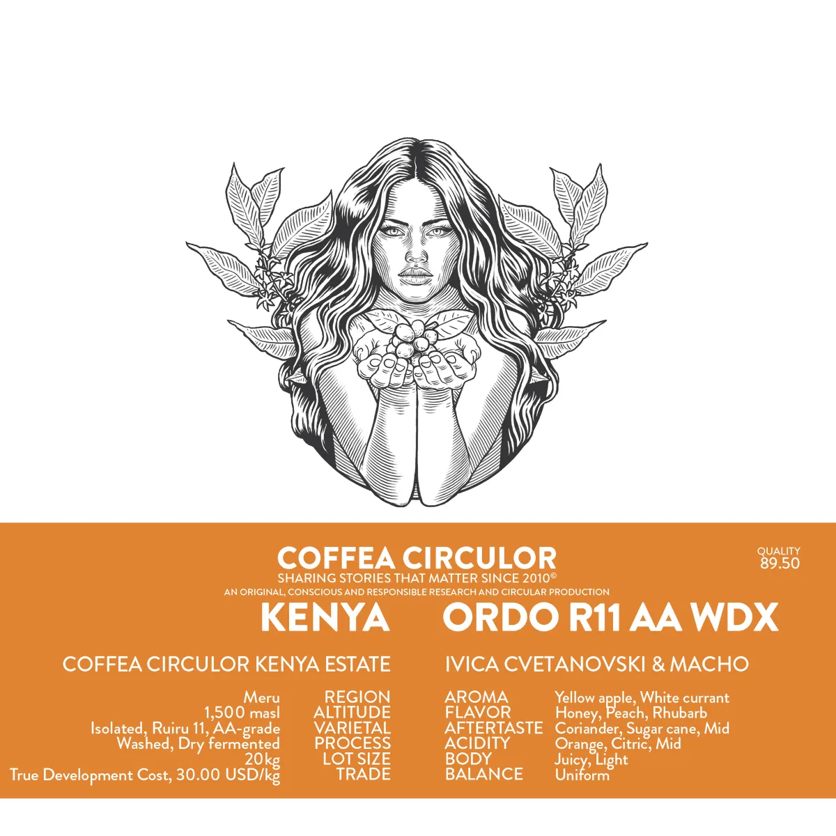 KENYA Coffea Circulor Ordo Isolated Ruiru 11 AA Washed WX