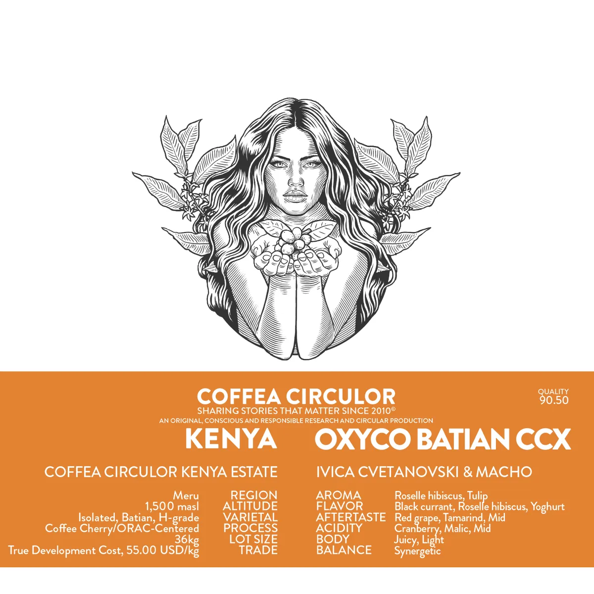 KENYA Coffea Circulor Oxyco Isolated Batian Coffee Cherry/ORAC-Centered CCX