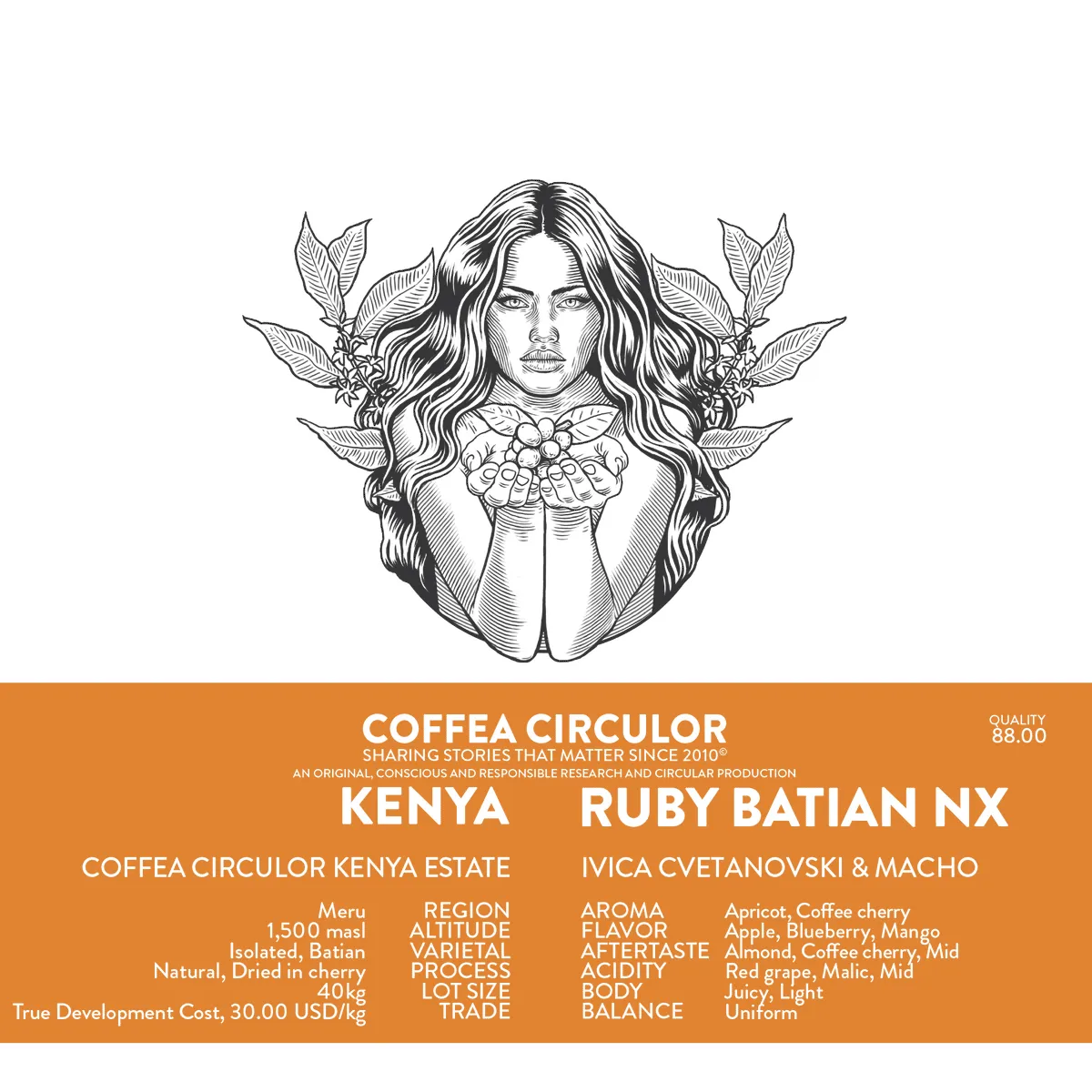 KENYA Coffea Circulor Ruby Isolated Batian Natural NX