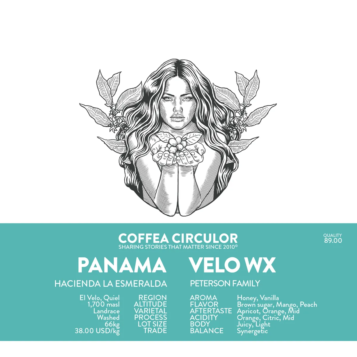 PANAMA Hacienda La Esmeralda Velo Landrace Washed WX