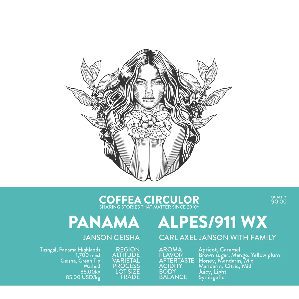 PANAMA Janson Geisha Alpes /911 Washed WX