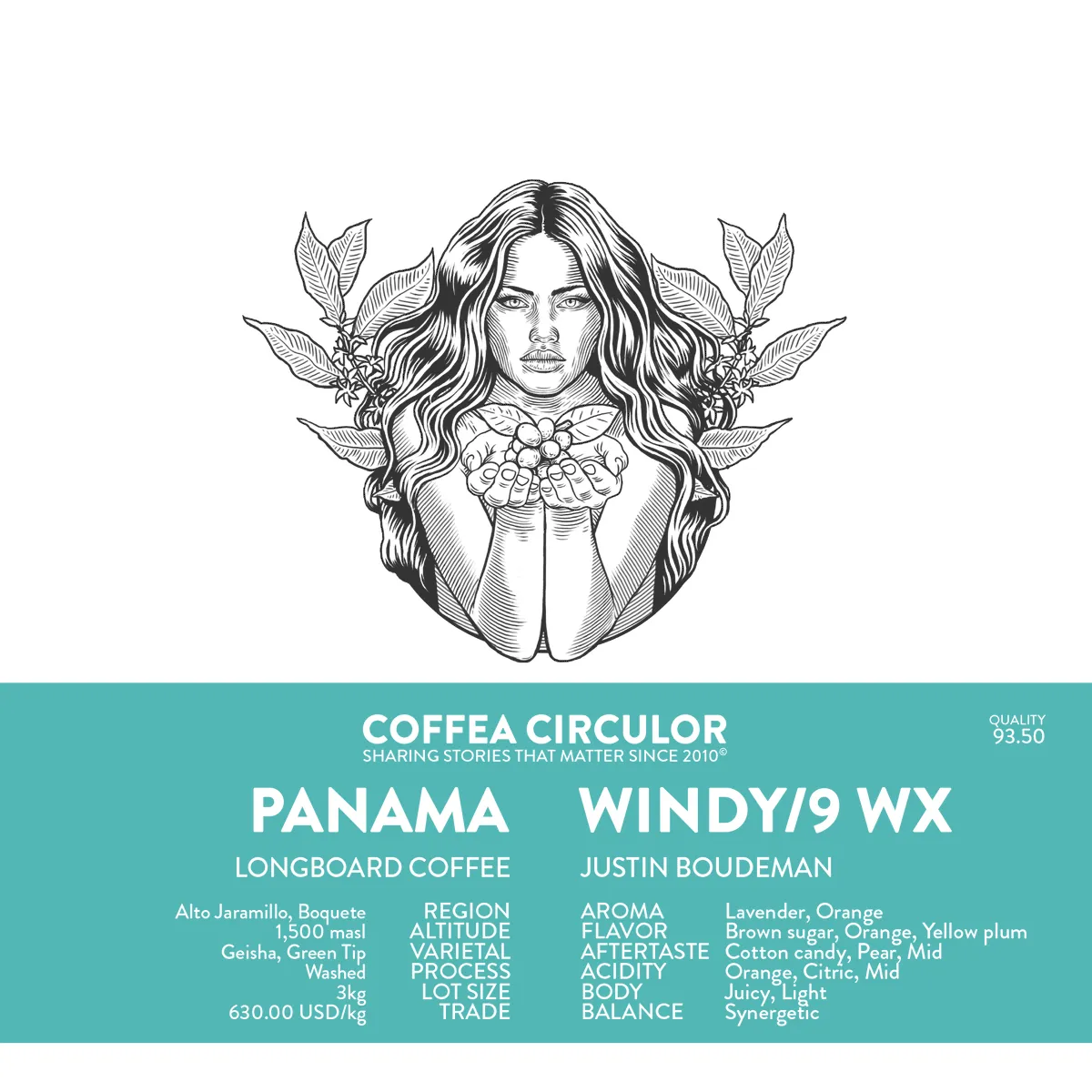 PANAMA Longboard Geisha Windy Ridge /9 Washed WX