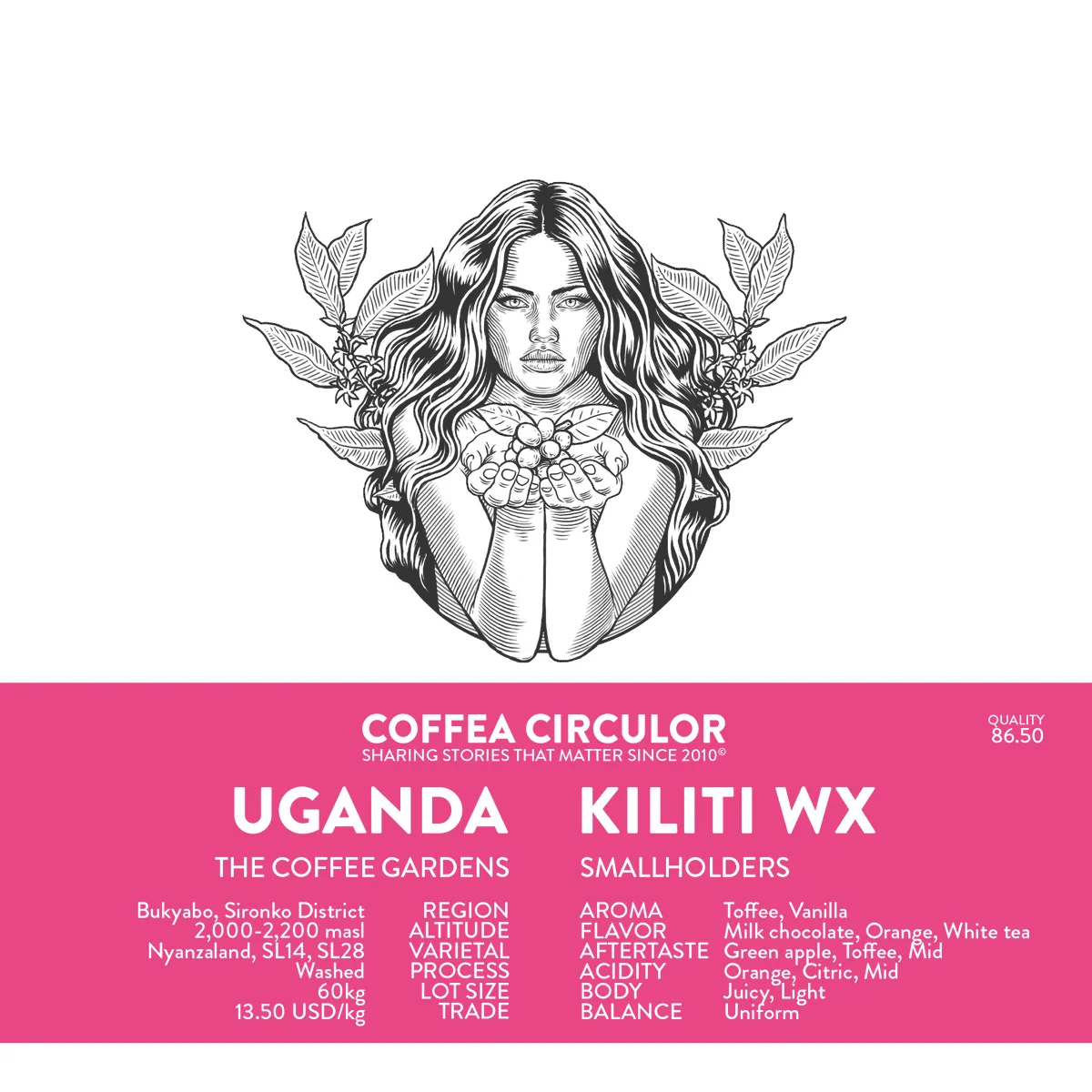 UGANDA Kiliti Washed WX