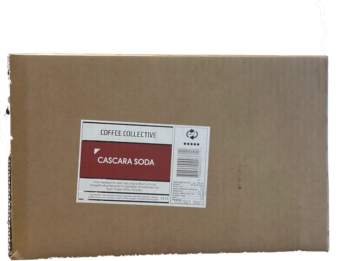 Cascara soda (box)