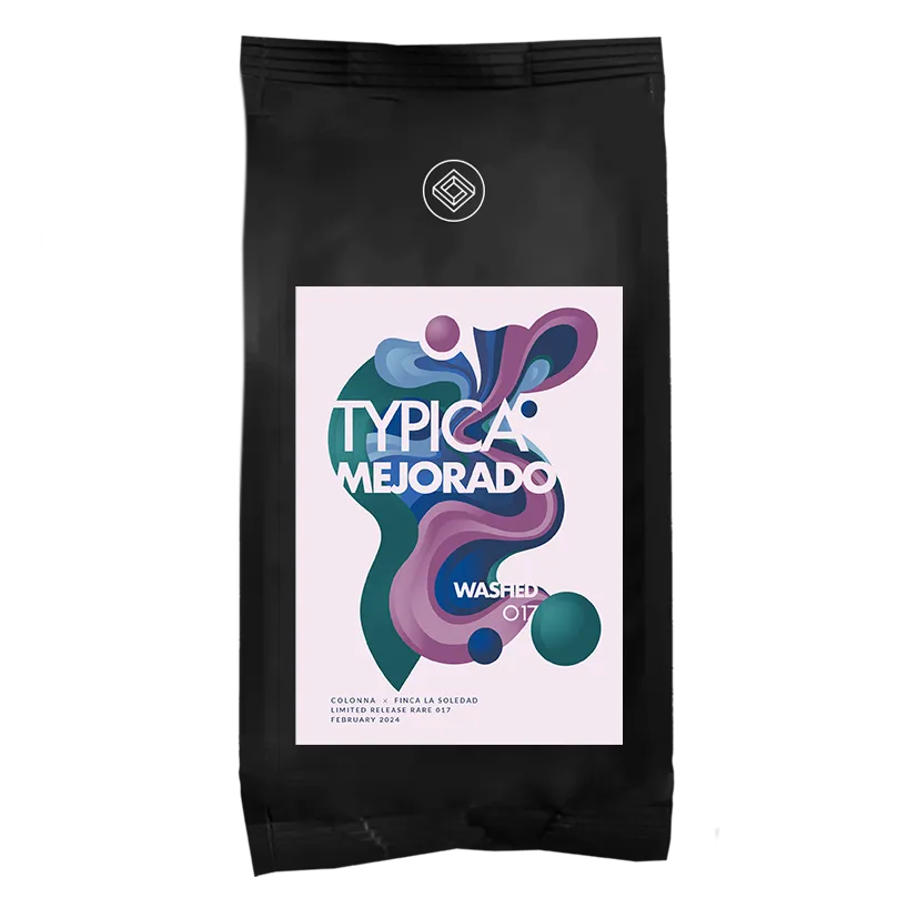 017 - Typica Mejorado Washed