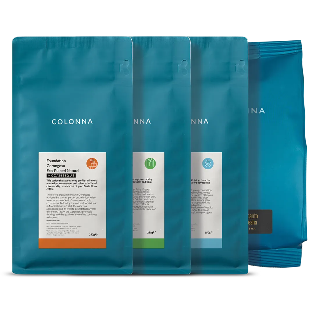 All 3 + Gesha Beans