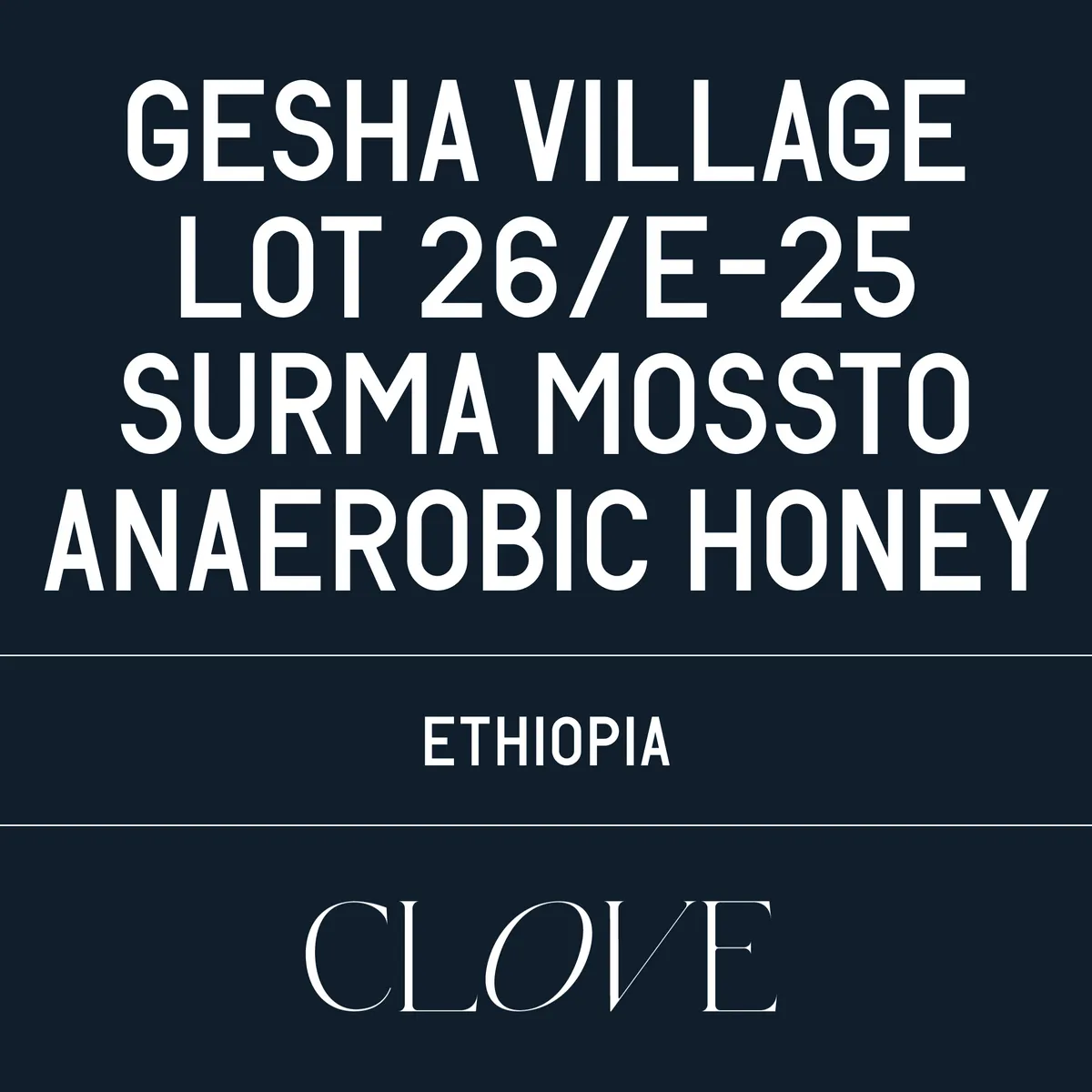 Gesha Village - Lot 26/E-25 Surma Mossto Anaerobic Honey