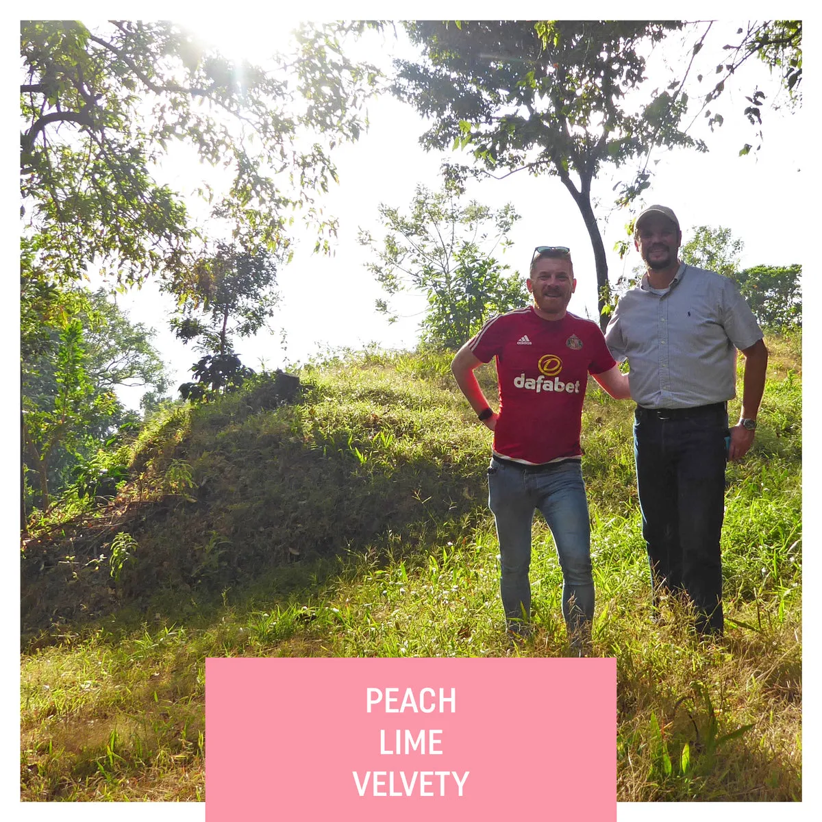 Las Brumas, WFC, Natural Gesha, El Salvador