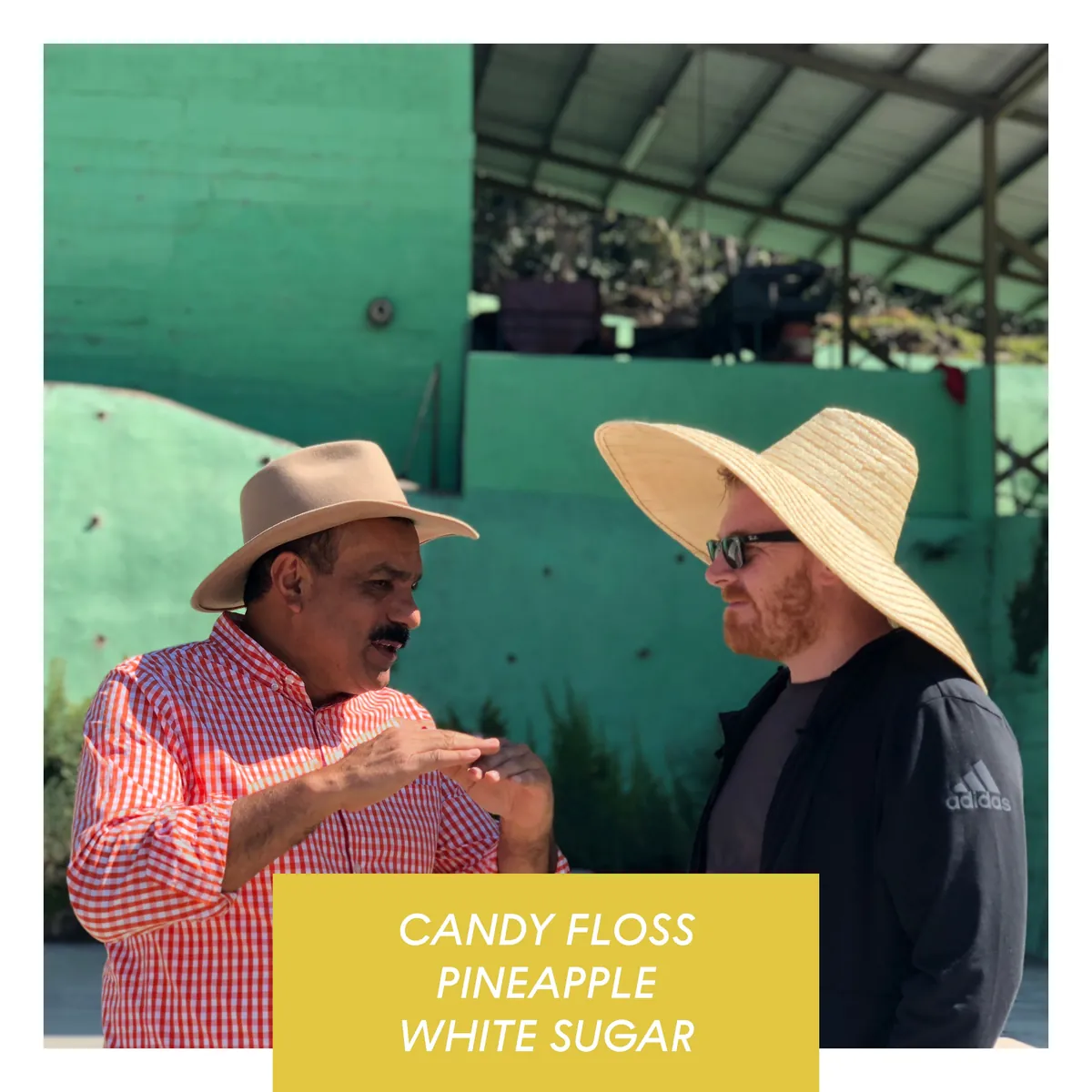 Los Altares, Anaerobic Honey Caturra, Guatemala