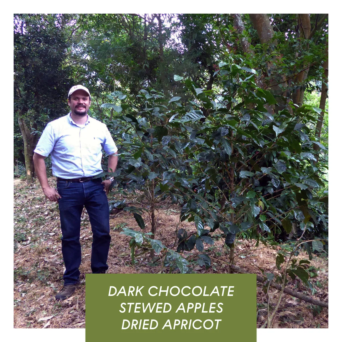 Los Andes, Anaerobic Natural Bourbon, El Salvador