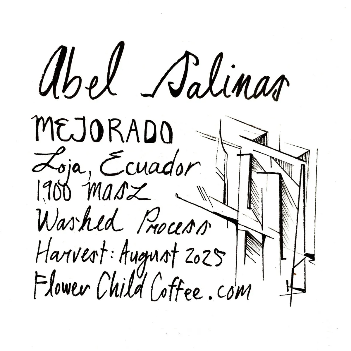 Abel Salinas - Mejorado