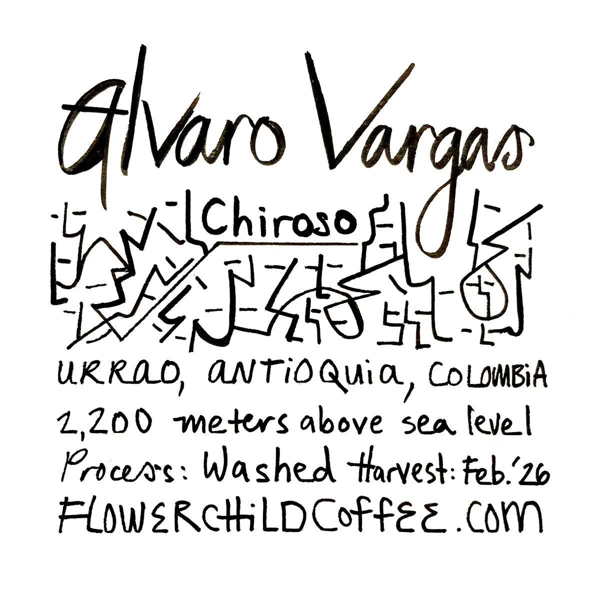 Alvaro Vargas - Chiroso