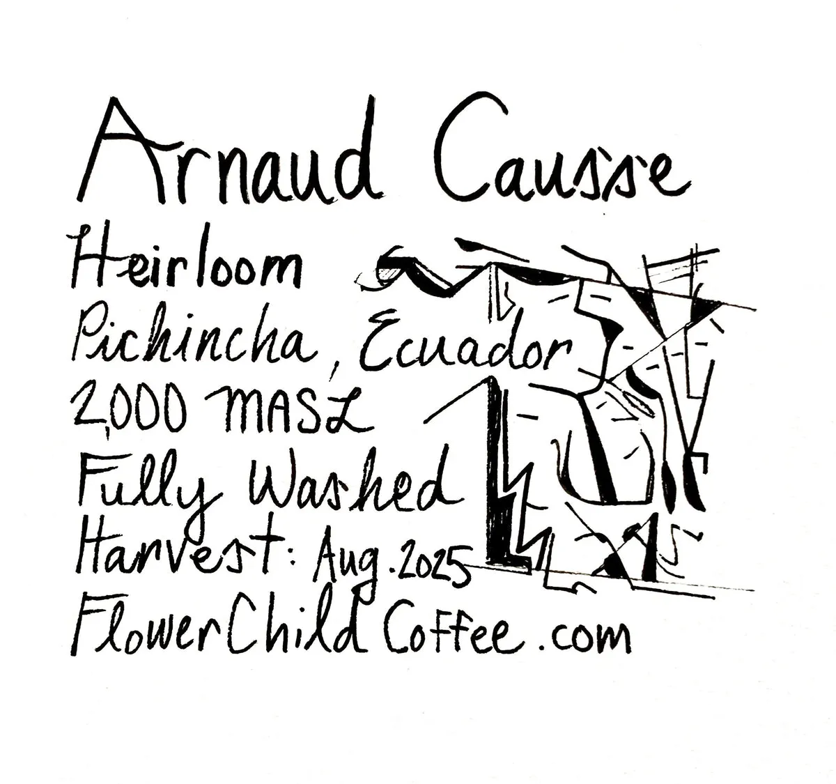 Arnaud Causse - Heirloom