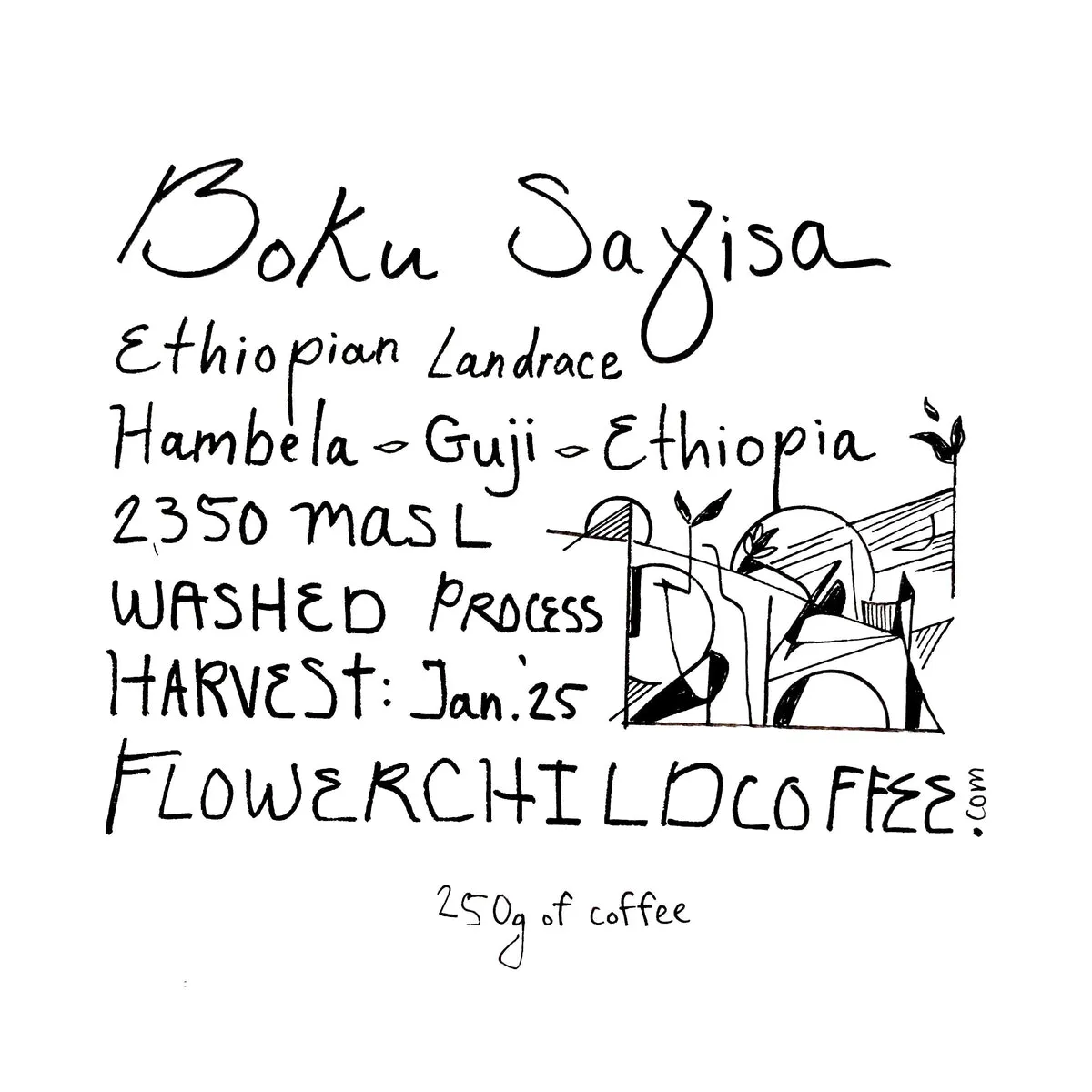 Boku Sayisa