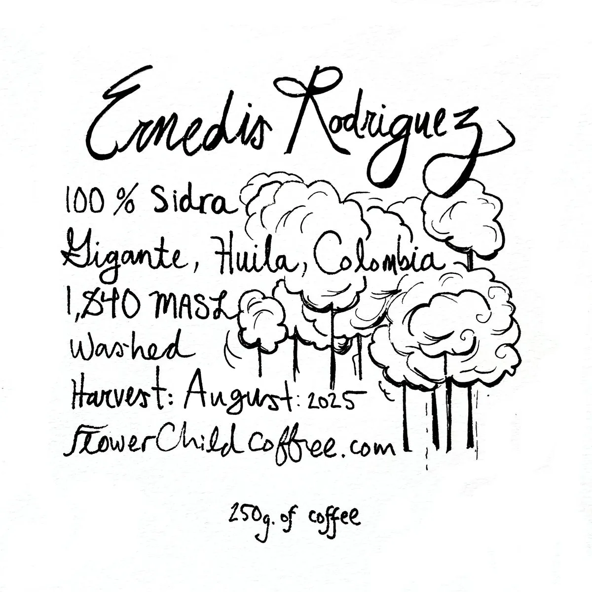 Ernedis Rodriguez - Sidra