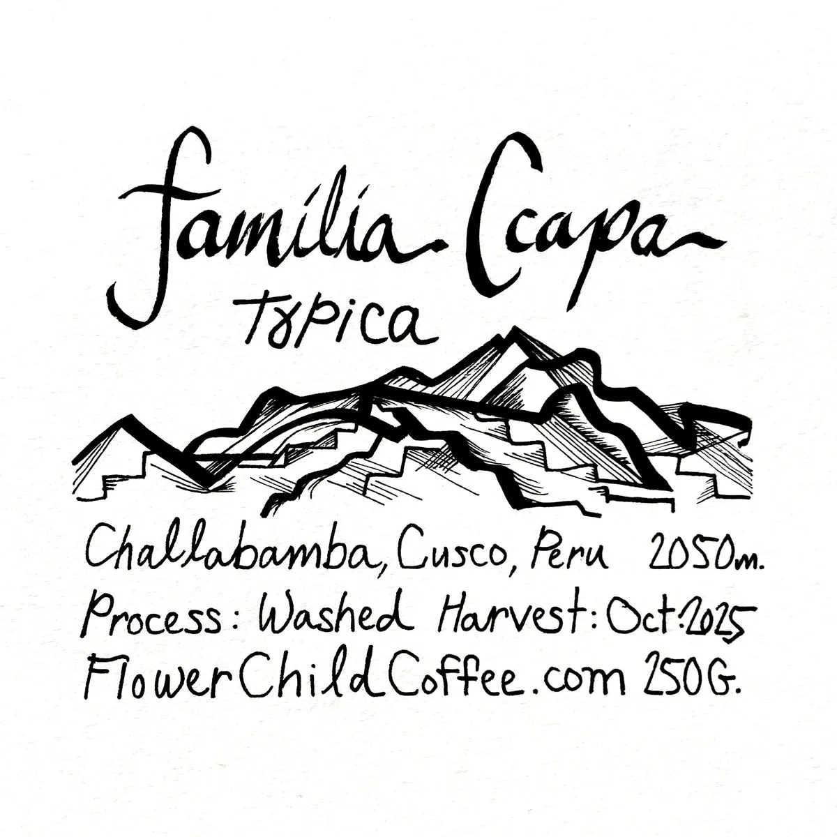 Familia Ccapa - Typica