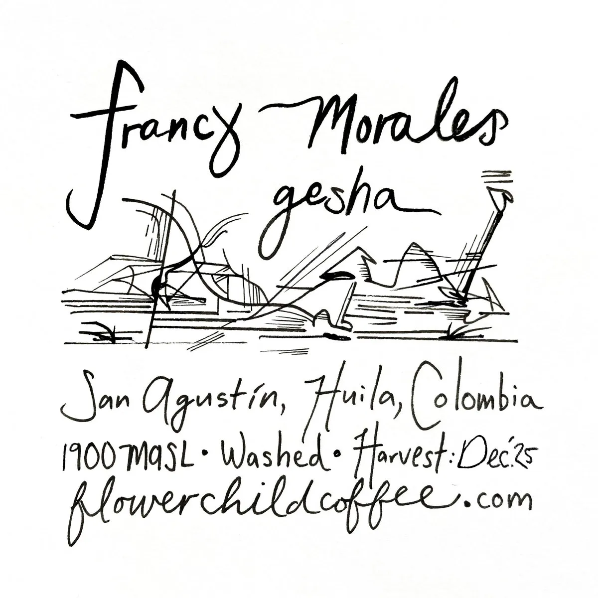 Francy Morales - Gesha