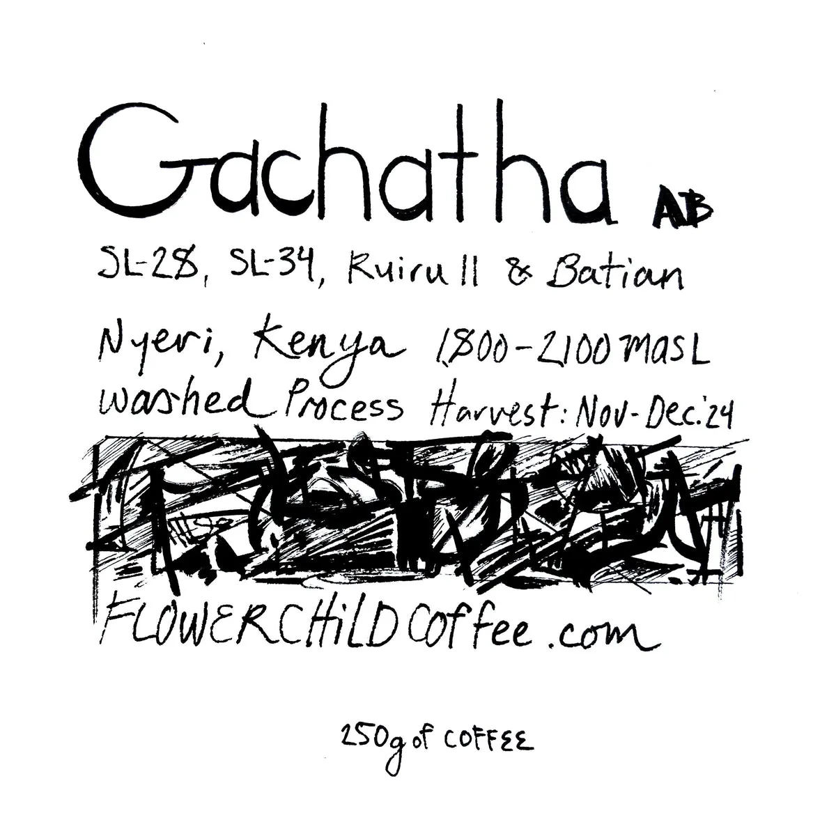 Gachatha