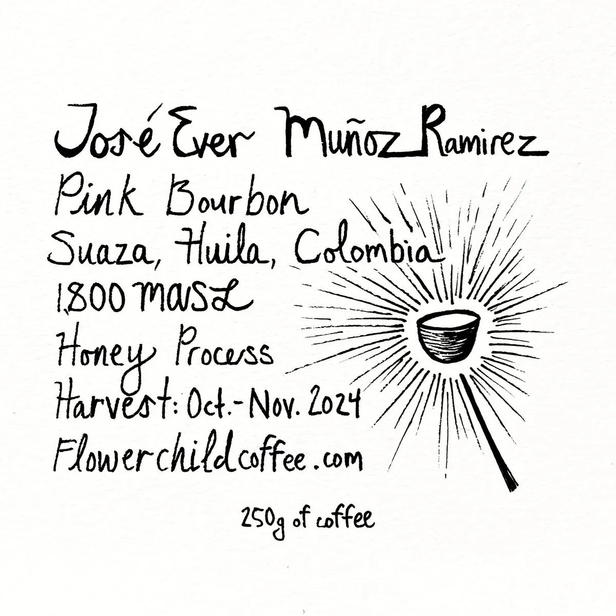 Jose Ever Honey Pink B.