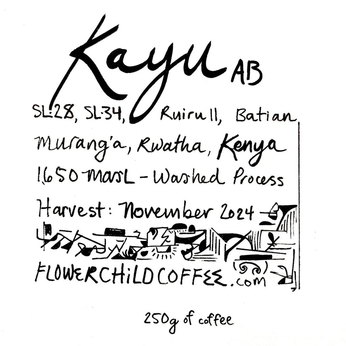 Kayu