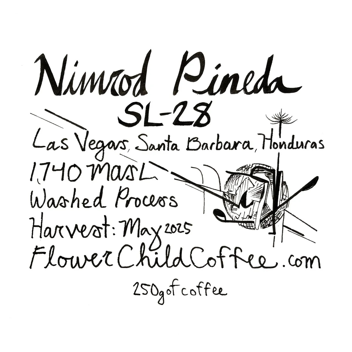 Nimrod Pineda