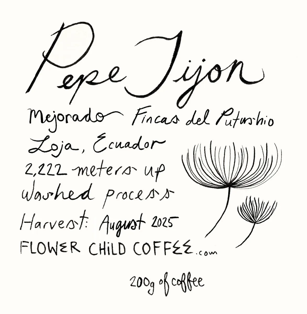 Pepe Jijon Mejorado