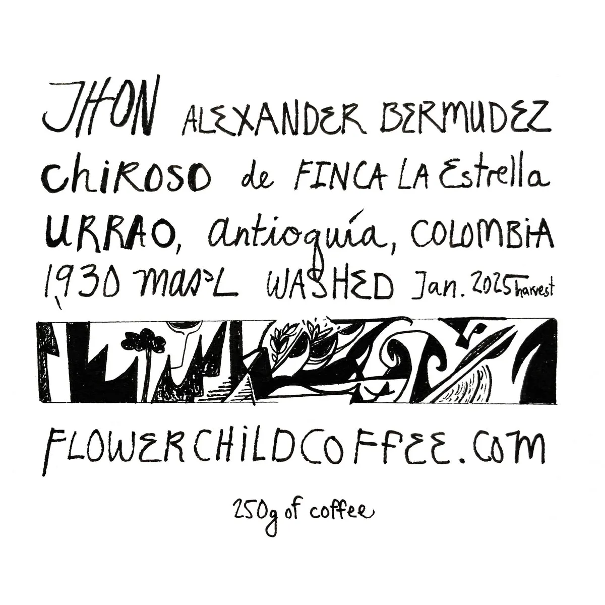 Jhon Bermudez
