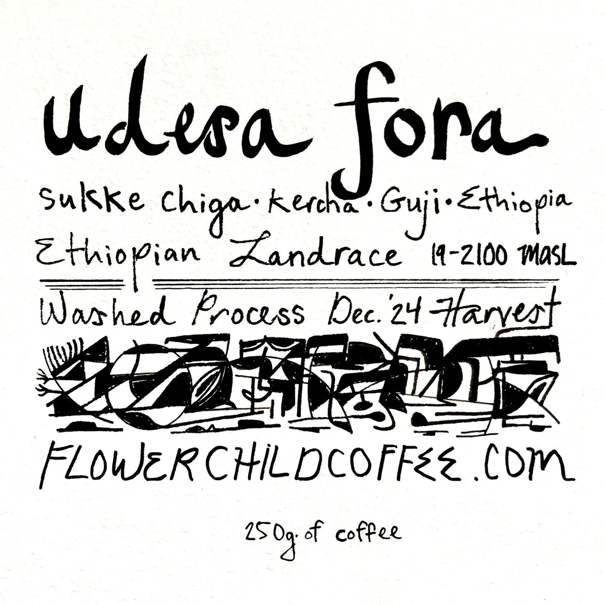 Udesa Fora