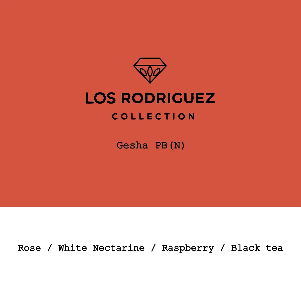 Bolivia Los Rodriguez Geisha PB Natural