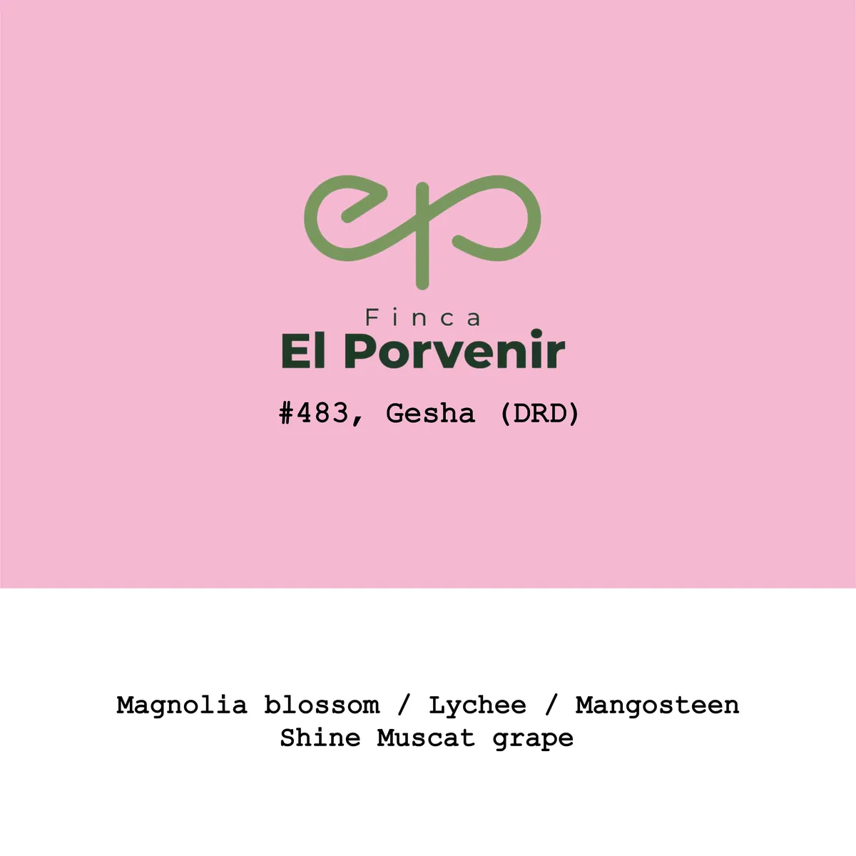 Colombia El Porvenir Geisha Lot483 DRD Honey
