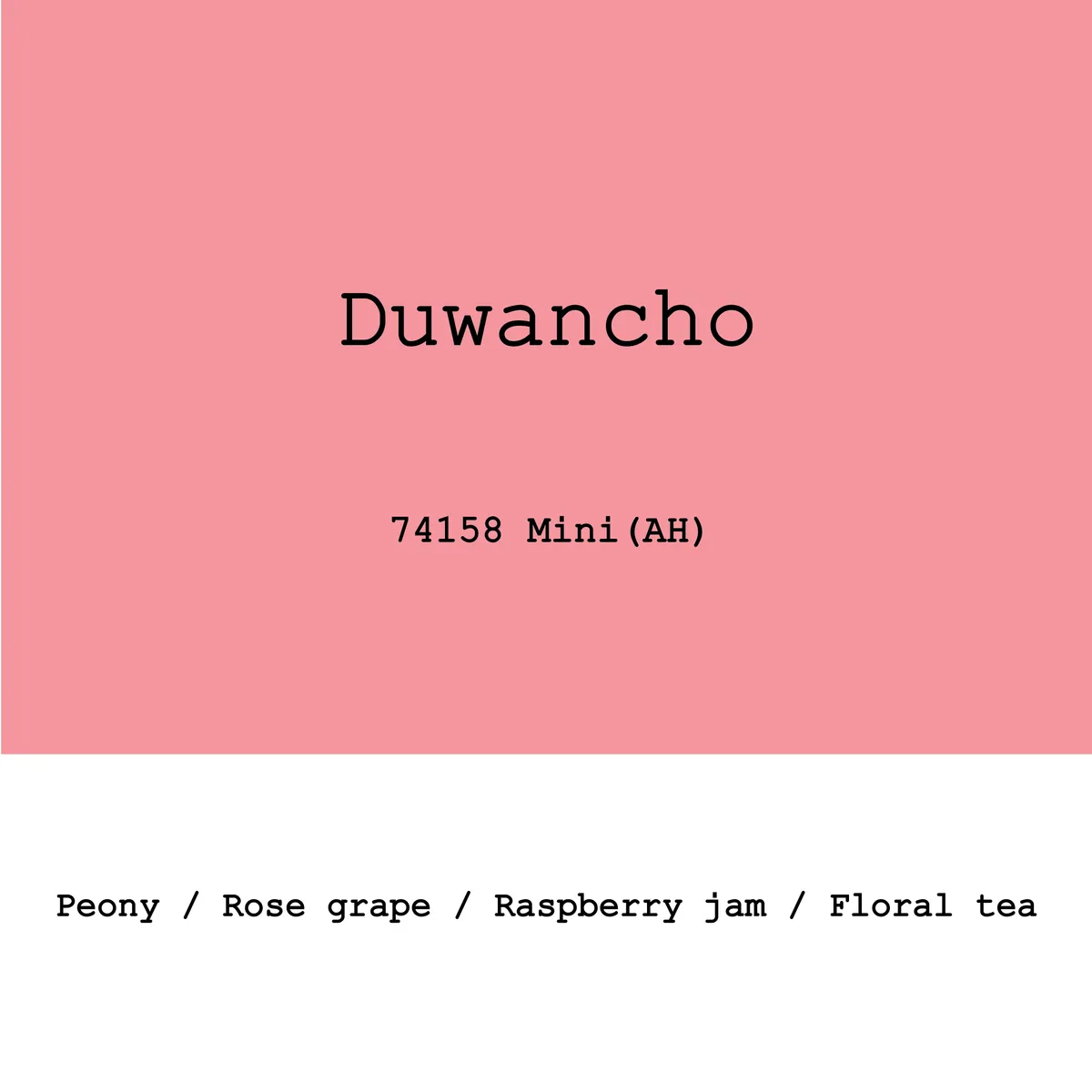Ethiopia Duwancho 74158 Mini Anaerobic Honey
