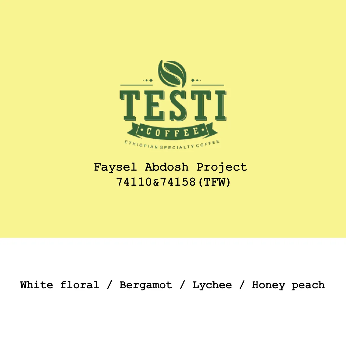 Ethiopia Faysel Abdosh Project 74110&74158 Triple Fermentation Washed