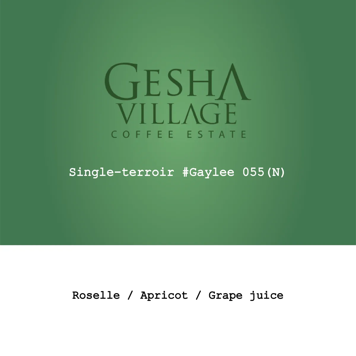 Ethiopia Gesha Village Single-terroir#Gaylee055 Illubabor natural