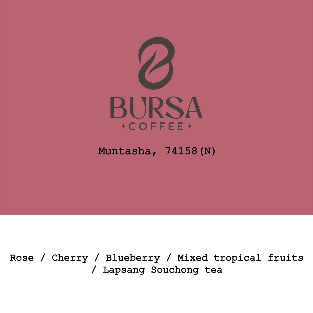 Ethiopia Muntasha 74158 Natural