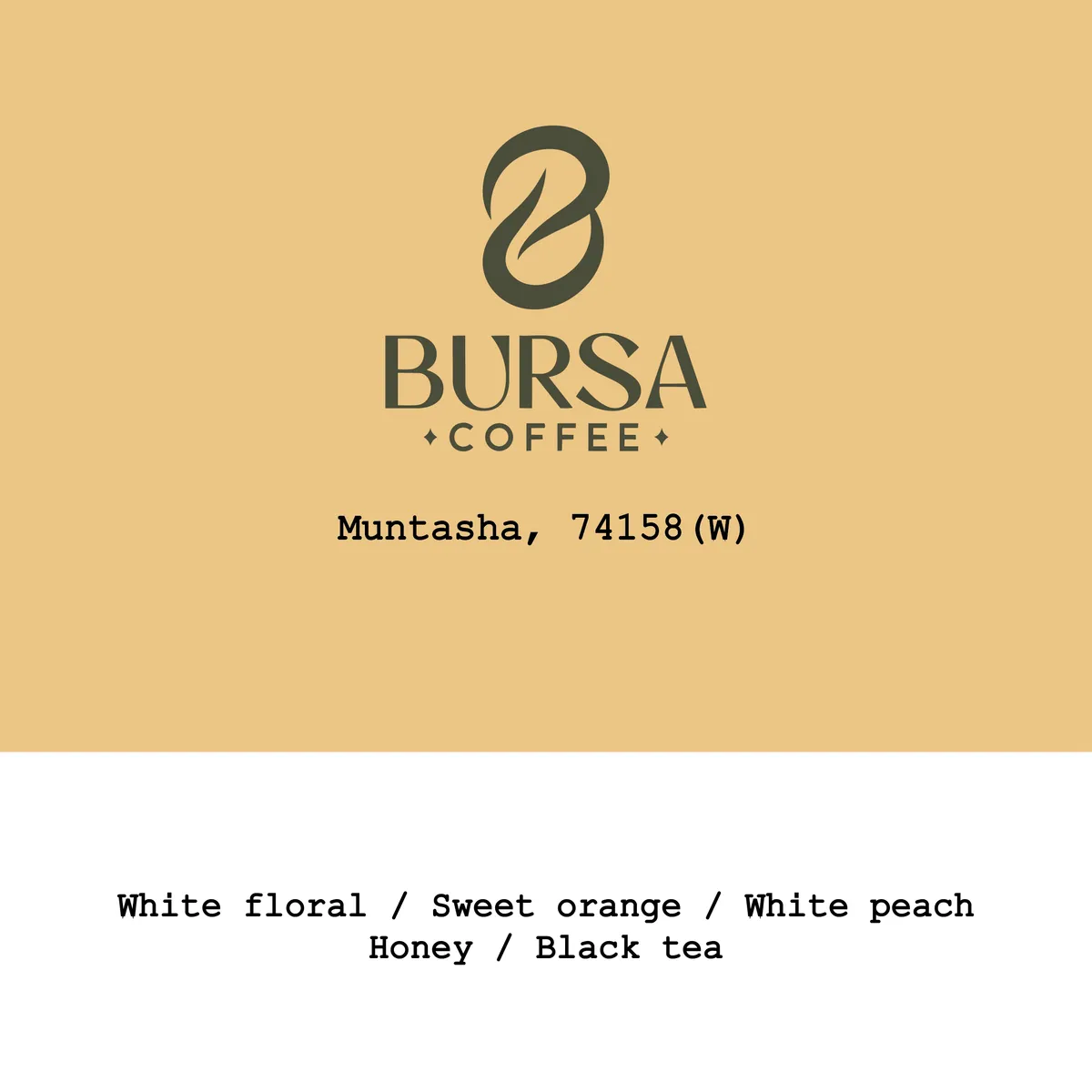 Ethiopia Muntasha 74158 Washed