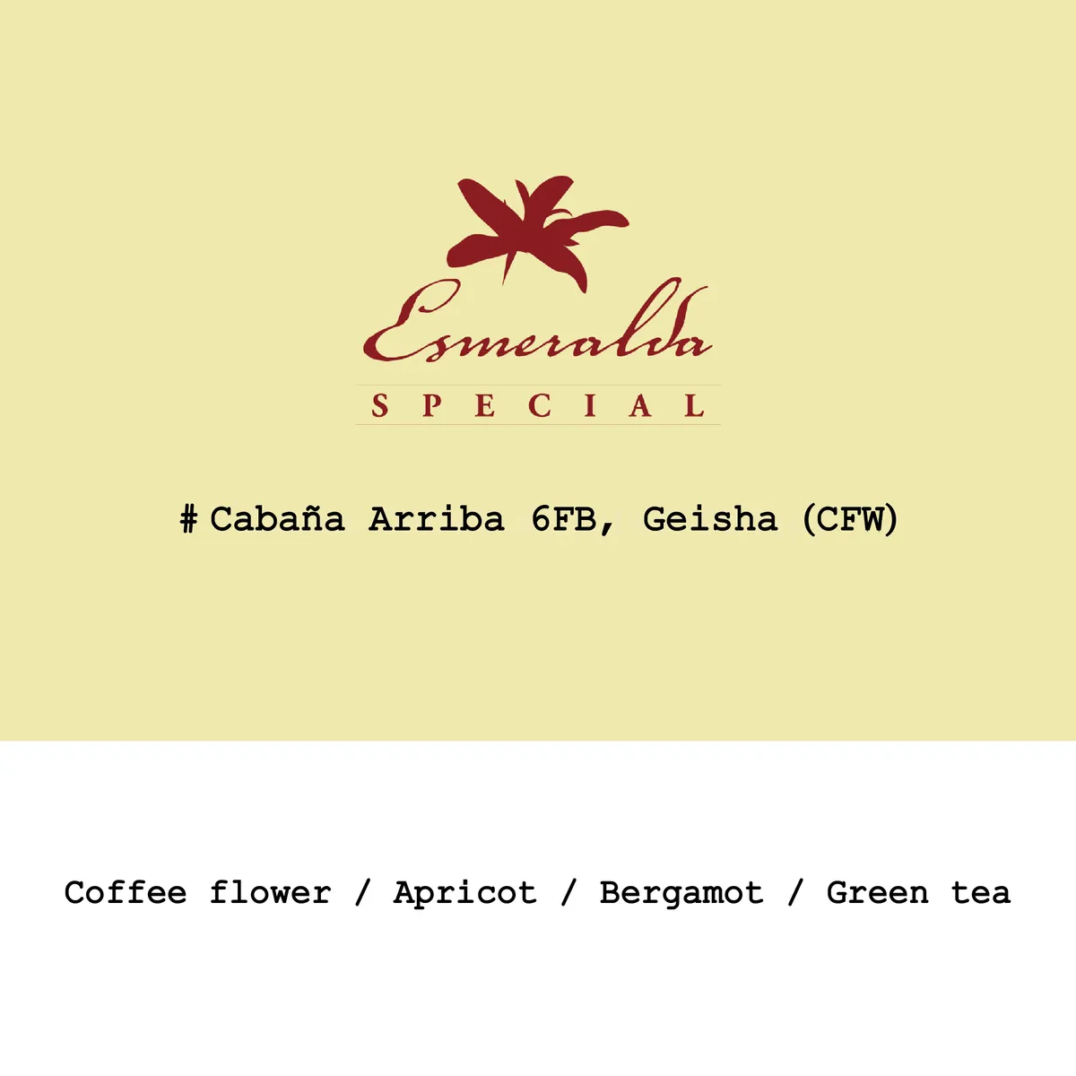 Panama HLE-Cañas Verdes Cabaña Arriba #6FB Geisha Cold fermentation washed