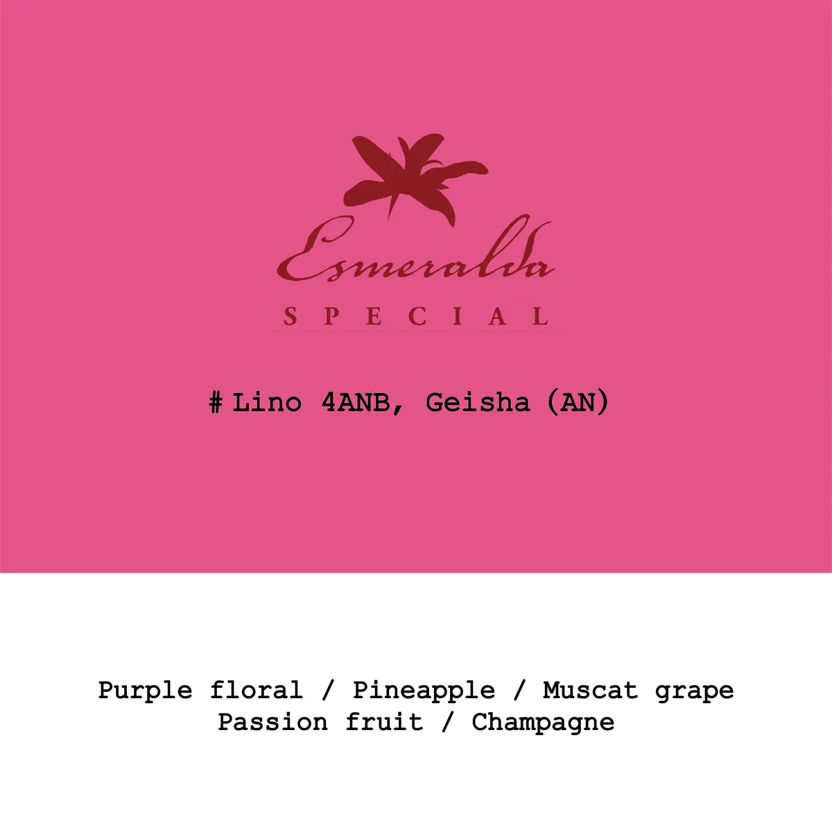 Panama HLE-Cañas Verdes Lino #4ANB Geisha Anaerobic natural