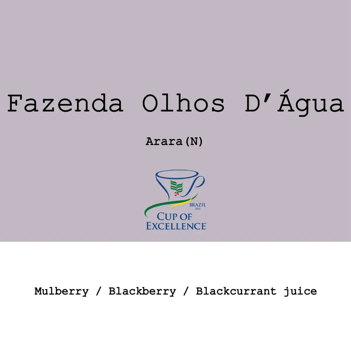 Brazil Fazenda Olhos D'Água Arara Natural 2025 CoE Experimental #4