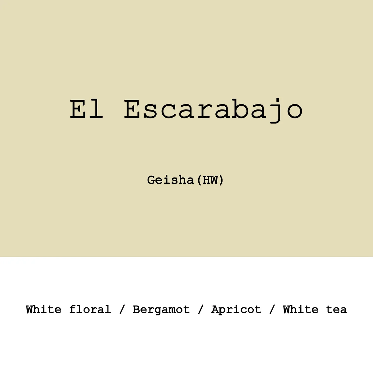 Colombia El Escarabajo Geisha Hybrid washed