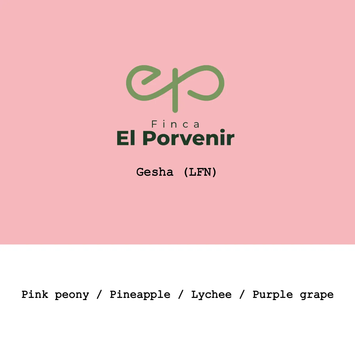 Colombia El Porvenir Geisha Light fermentation natural